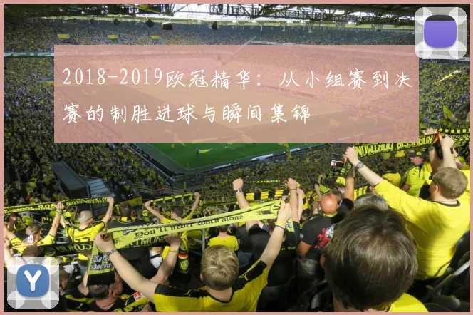 2018-2019欧冠精华：从小组赛到决赛的制胜进球与瞬间集锦
