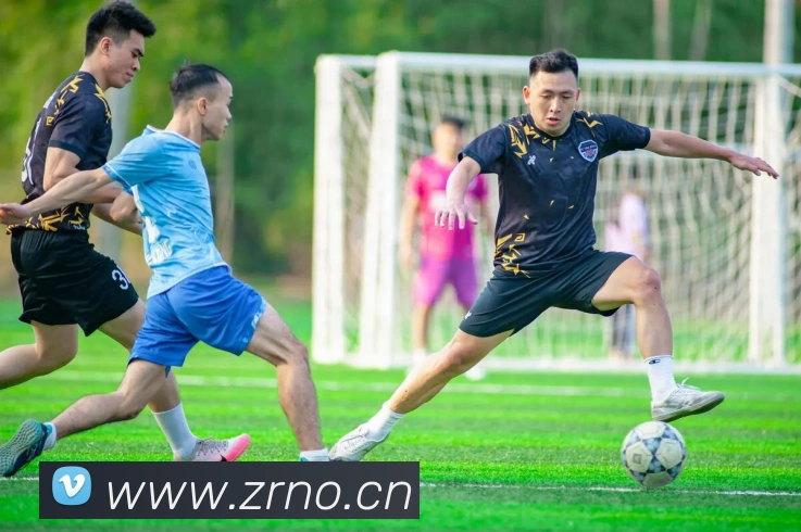 leyu乐鱼电竞app官网登录入口APP 封面图